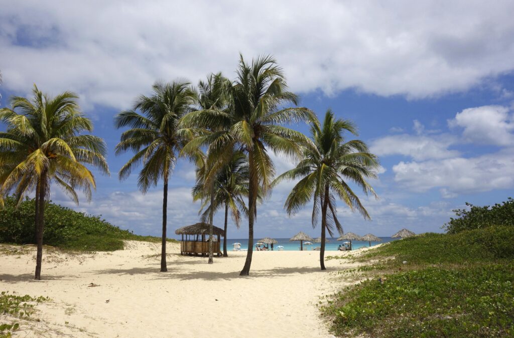 Discover the serene beauty of Playa del Este in Cuba, featuring palm trees, sandy shores, and blue skies.