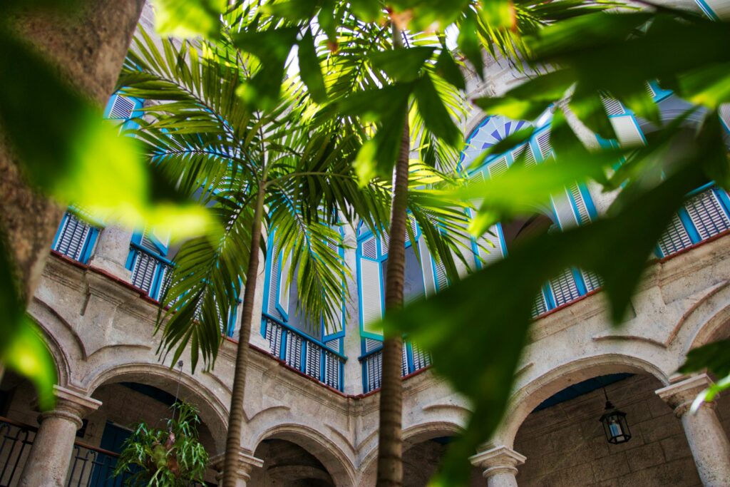 Vibrant tropical courtyard featuring palm trees and classic architecture in Havana, Cuba.